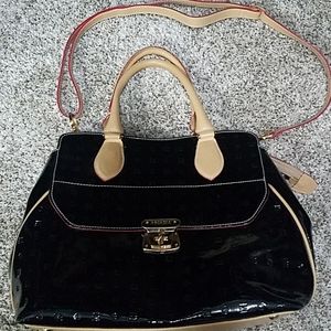 Arcadia purse